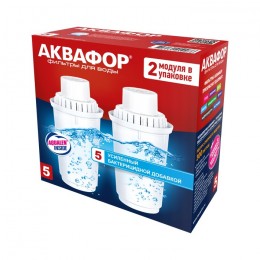 Сменный модуль В5 (В100-5) защита от бактерий (комплект из 2-х штук) в Волгограде